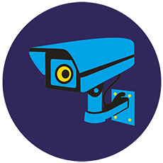 Peloda Physical Security logo